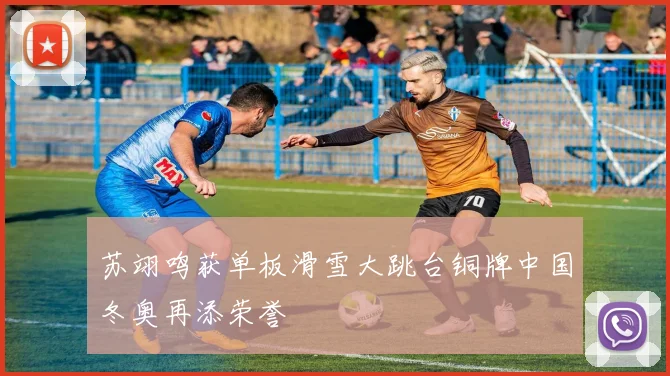 苏翊鸣获单板滑雪大跳台铜牌中国冬奥再添荣誉