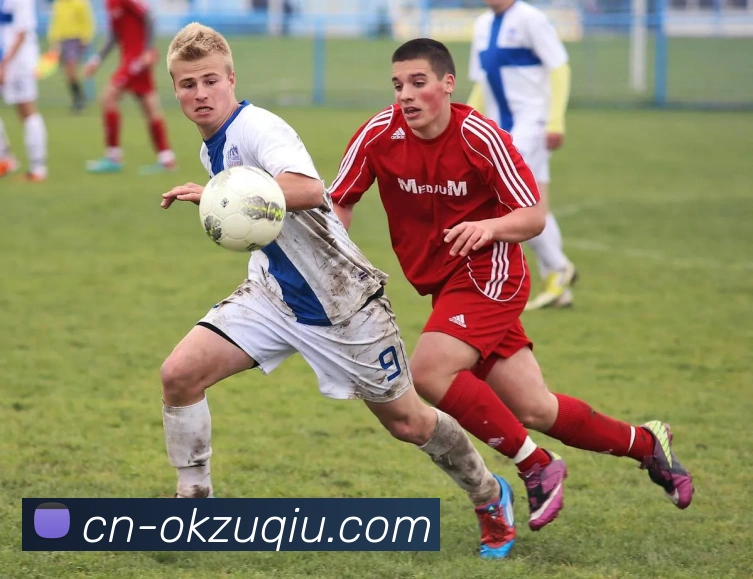 App Interface Preview